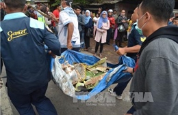 Rơi máy bay quân sự ở Indonesia, 4 người chết